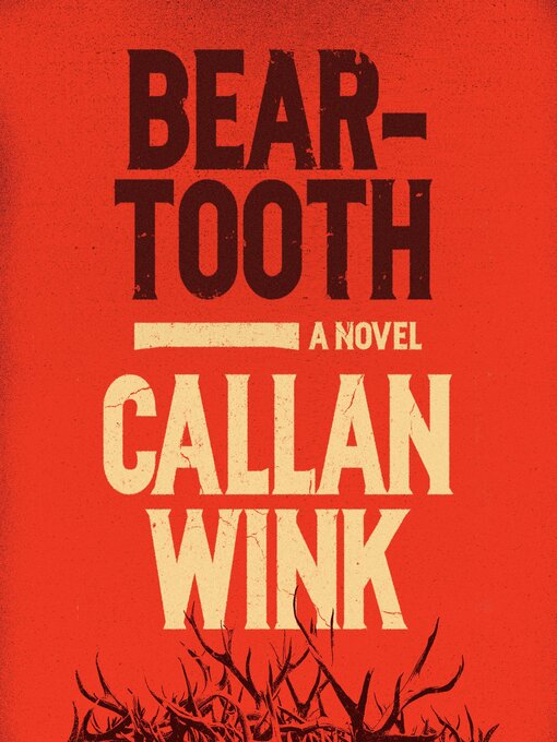 Title details for Beartooth by Callan Wink - Available